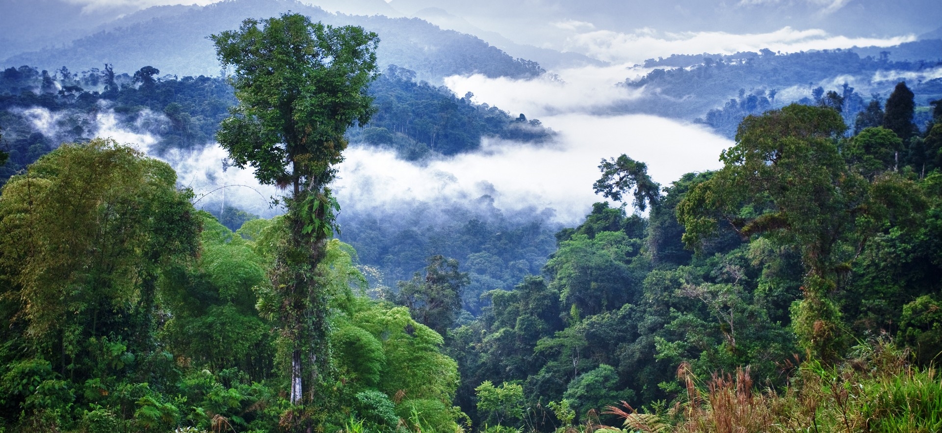 *Price shown does not include flights