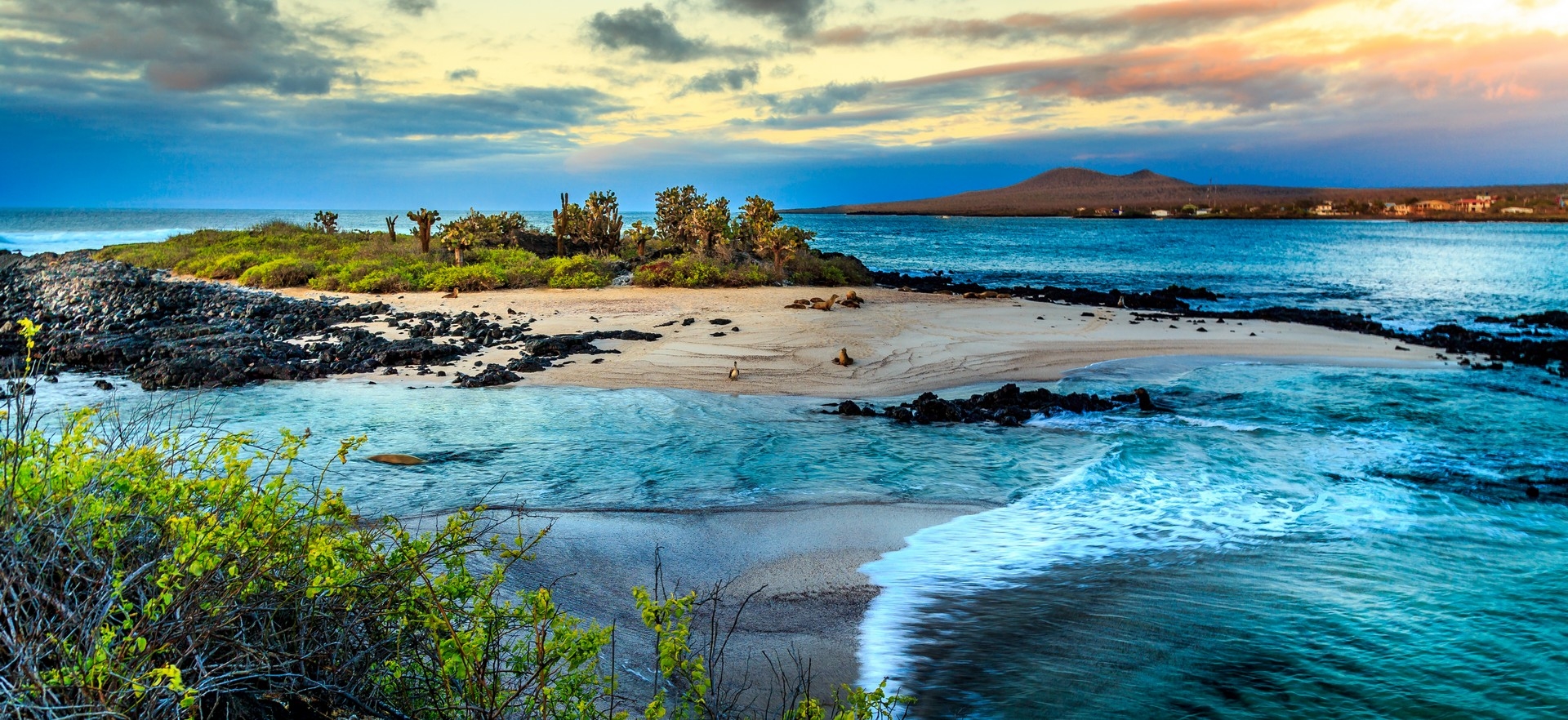 hero-island-oceans-trees-sand-galapagos