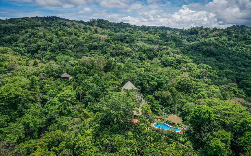 Hillside-Resort,-Pool,-Trees,-Lapa-Rios,-Costa-Rica.jpg