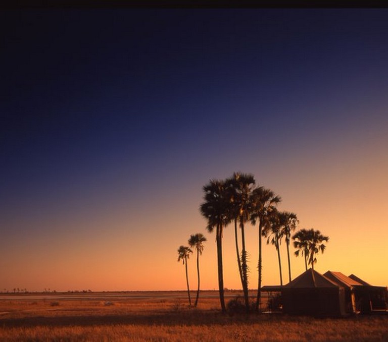 Jacks-Camp,-Sunset,-Tent,-Palm-Trees,-Sky,-Botswana,-Africa