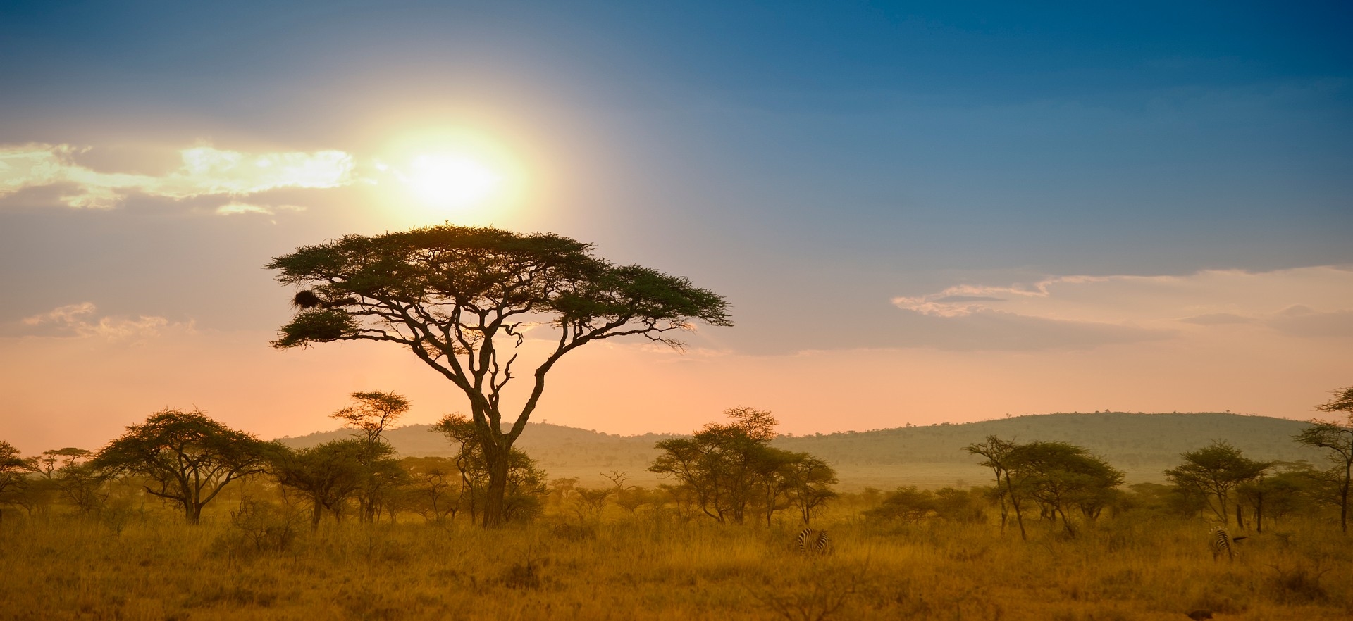 Tanzania - Bush & Beach